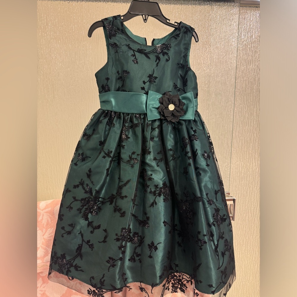 Girls Special Occasion/Holiday Dress